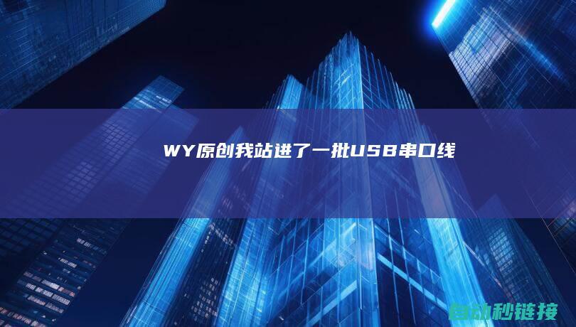 WY|[原创]我站进了一批USB串口线