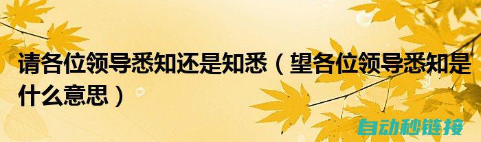 带您深入了解接线与流程 (带您深入了解这部电影背后的不为人知的故事)