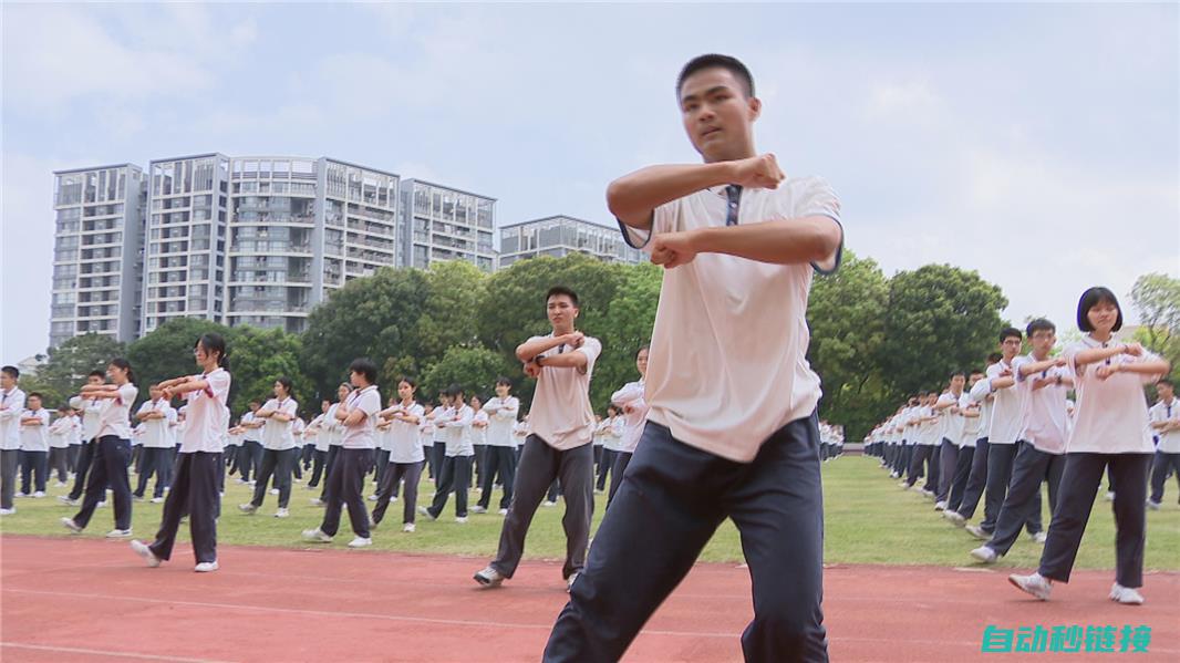 案例介绍与操作指南 (案例介绍与操作技巧)