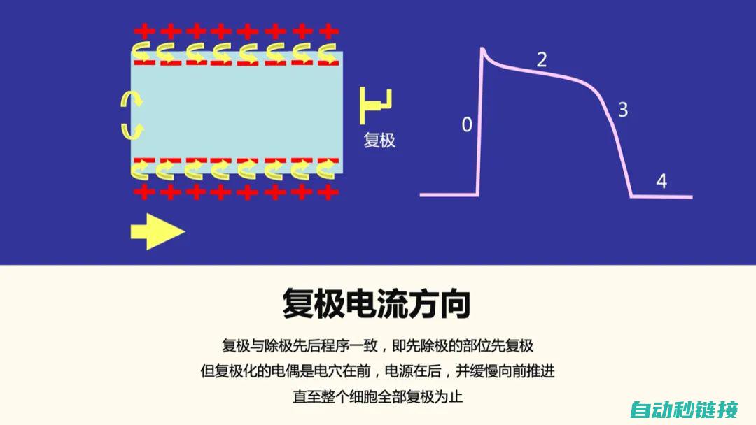 从基本原理到实践应用 (从基本原理到实战应用的解决问认知)